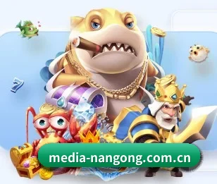 media-nangong.com.cn的故事